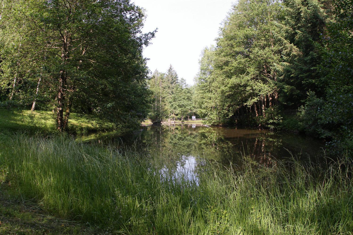 Zur Morschbach Hotel Altlay Bagian luar foto