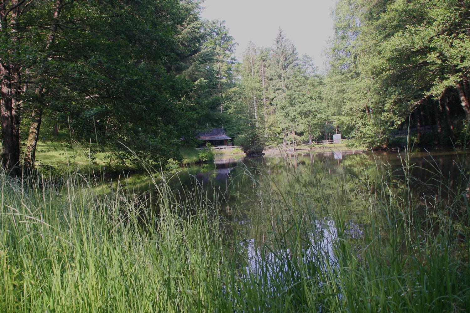 Zur Morschbach Hotel Altlay Bagian luar foto